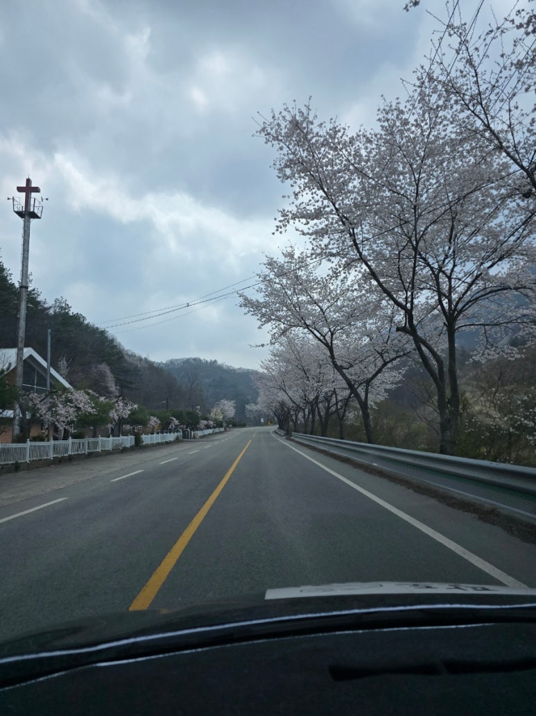 상관정육식당 이미지