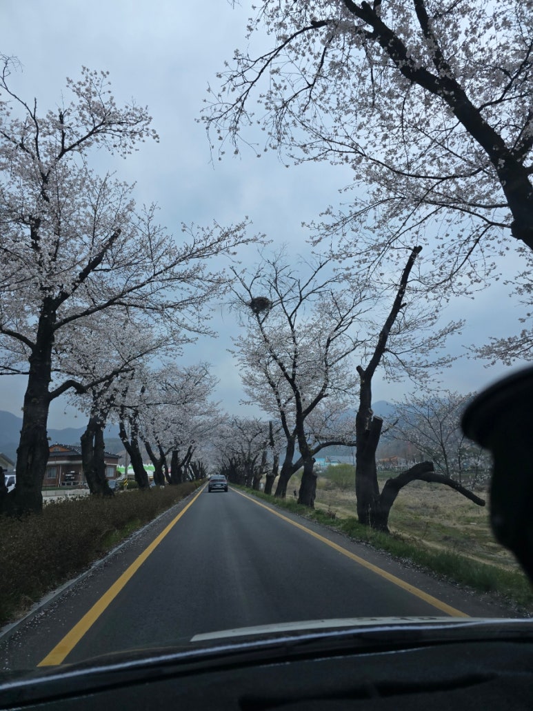 상관정육식당 이미지