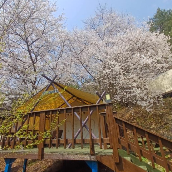 청풍 월드니스 글램핑 이미지