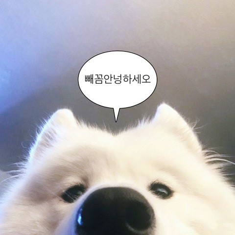 메디핸드에스테틱 이미지