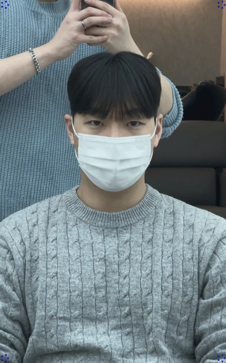 벨헤어 이미지