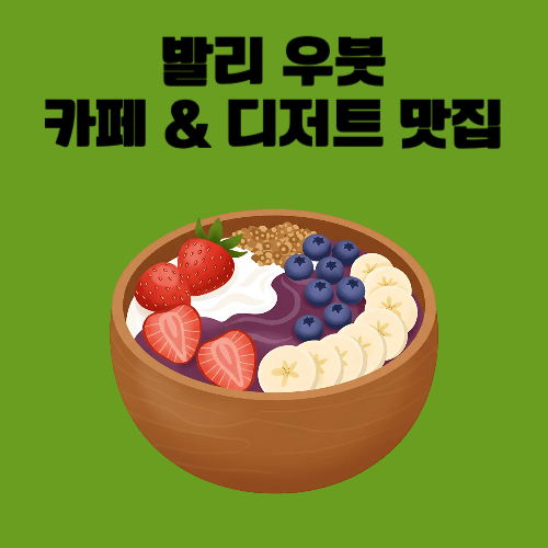솔로몬여행사 이미지