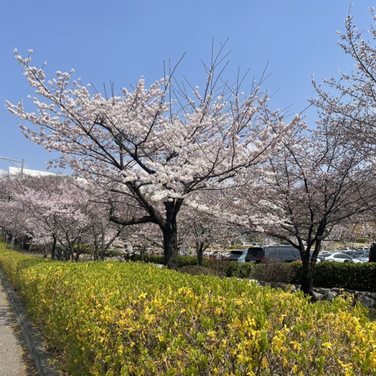 연세석유 이미지