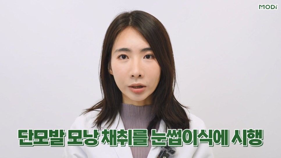 모디헤어 이미지