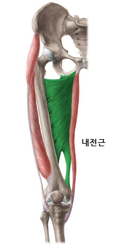 리얼핏 이미지