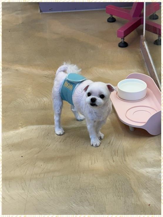 살롱,순간 이미지