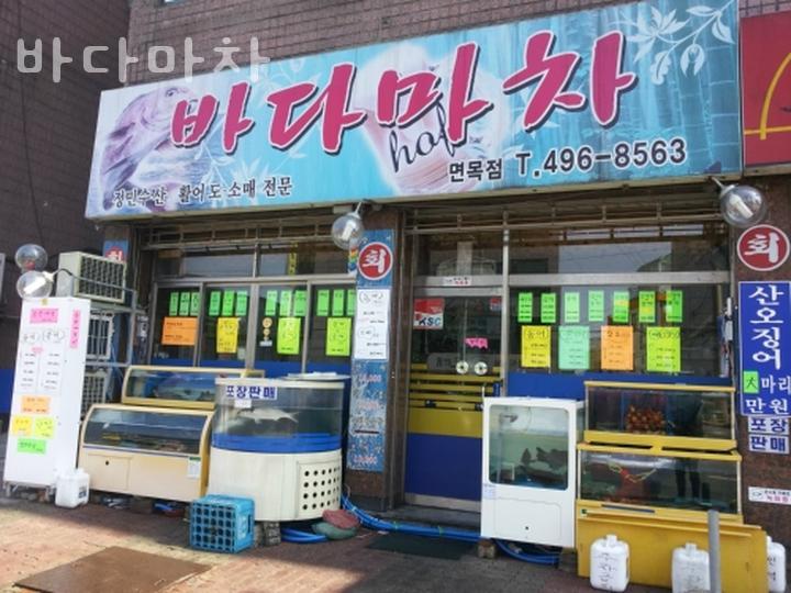 바다마차 이미지
