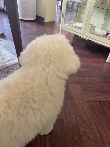 카페이응 이미지