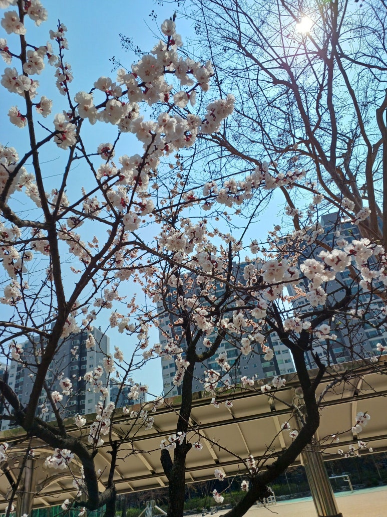 이윤호행정사 이미지