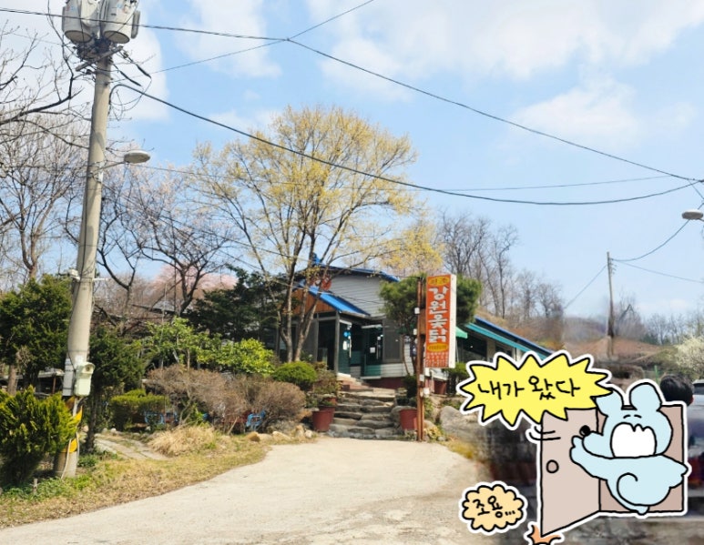 강원옻닭 이미지