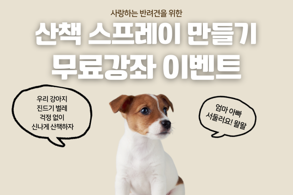 아로마홈힐러 이미지