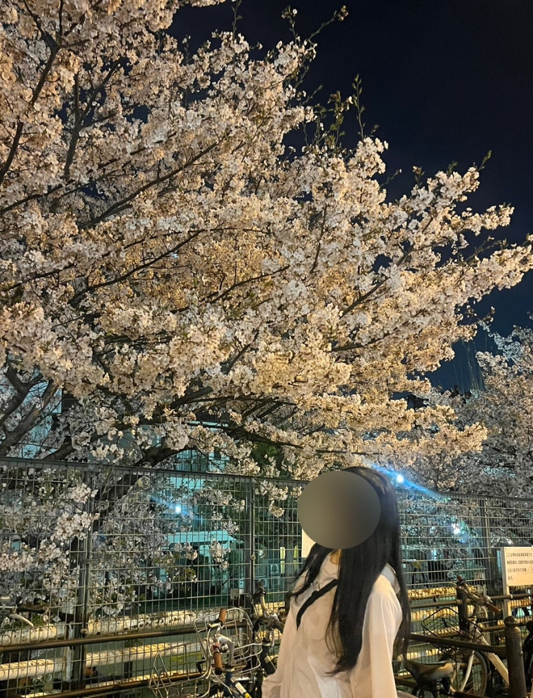 워니몰 이미지