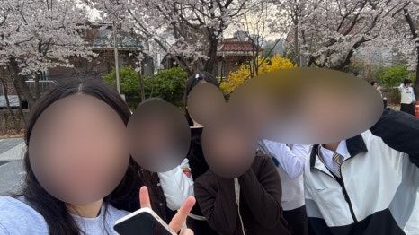 팬더리아 이미지