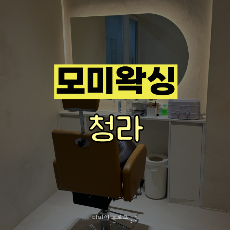내모미 이미지