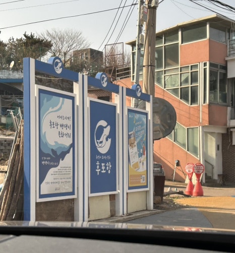 신흥호 이미지