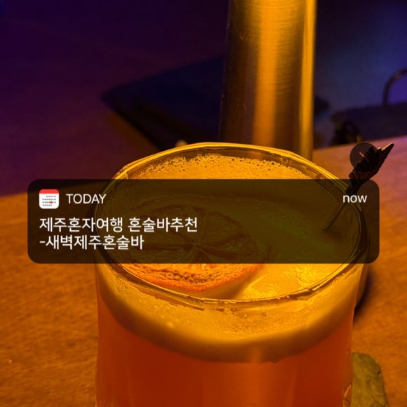새벽제주혼술바 이미지