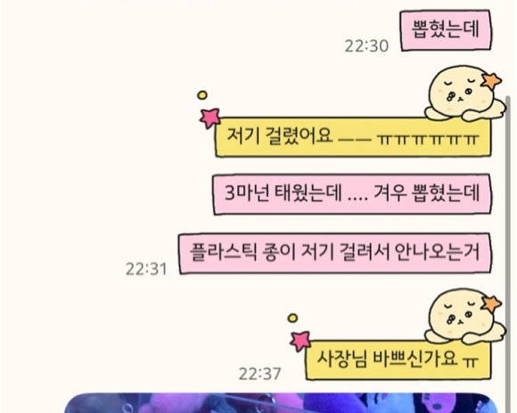 버니하우스 이미지