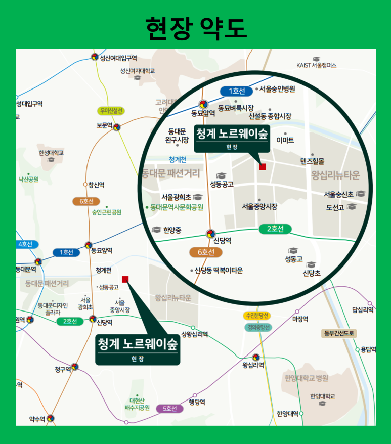 노르웨이숲 이미지