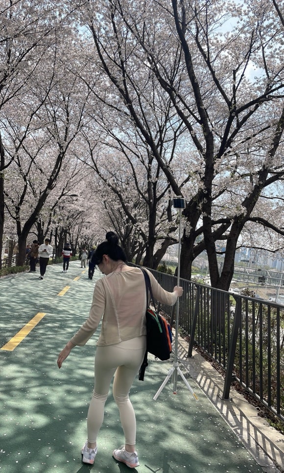 그린푸드 사진 4