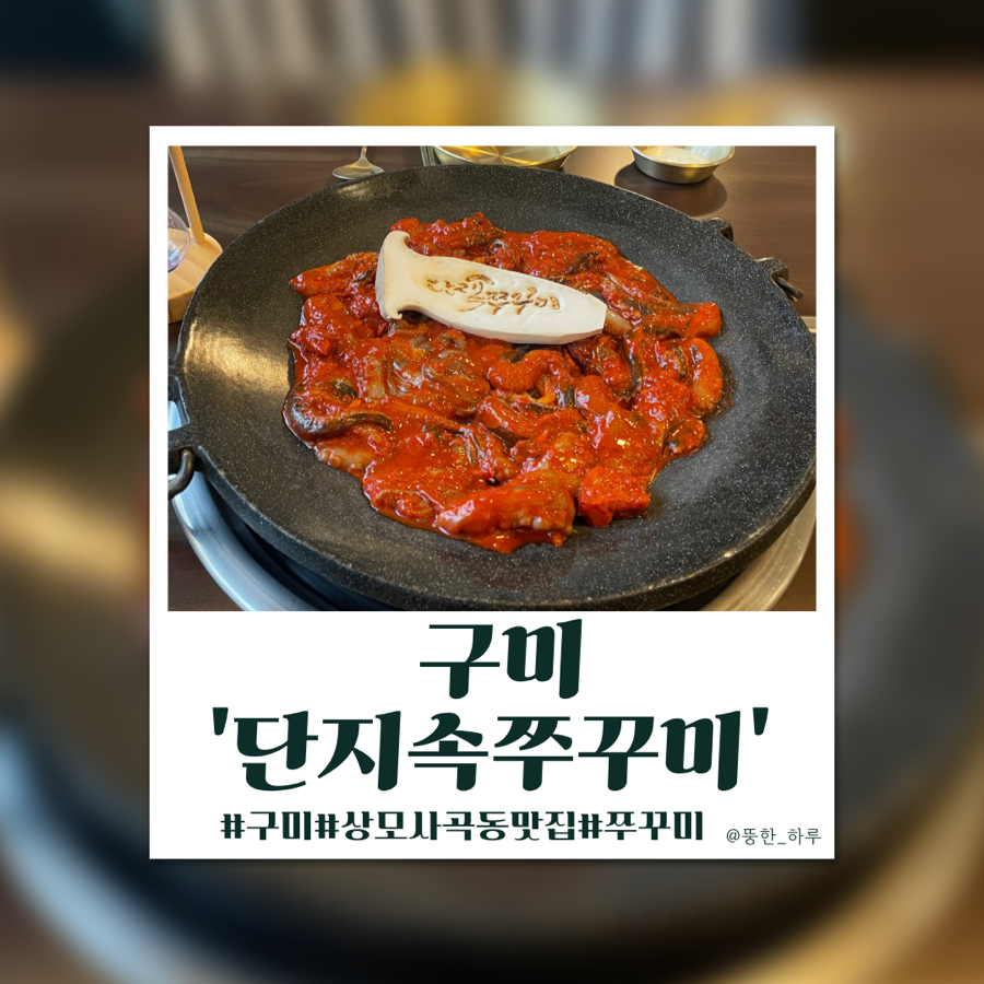 단지속쭈꾸미 이미지
