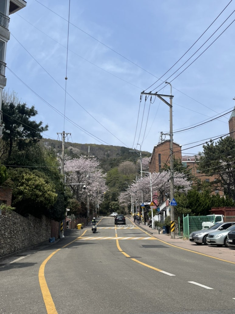 뚜레쥬르부산남천점 이미지