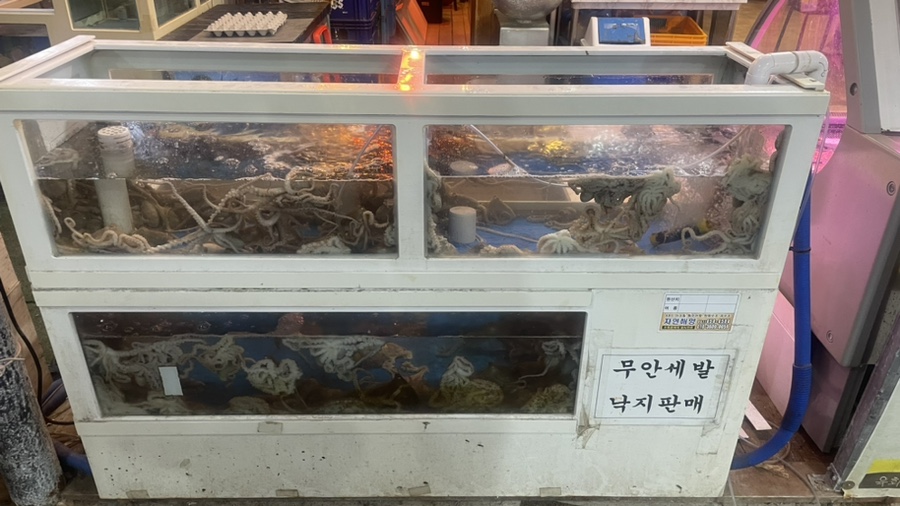 우아한돈 이미지