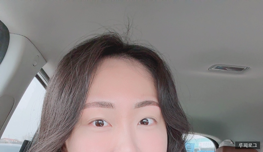 보니움 이미지