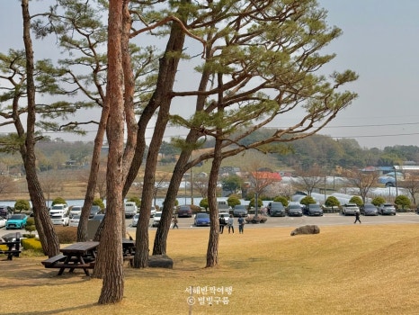 광보공판장 이미지