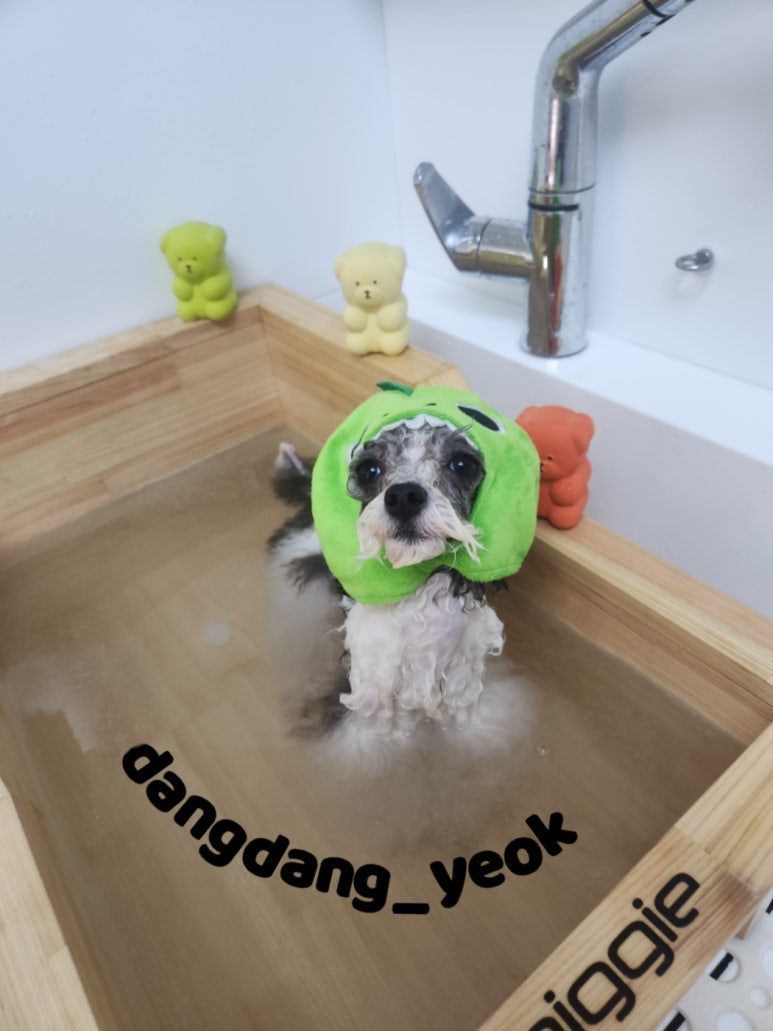 호야미용실 이미지
