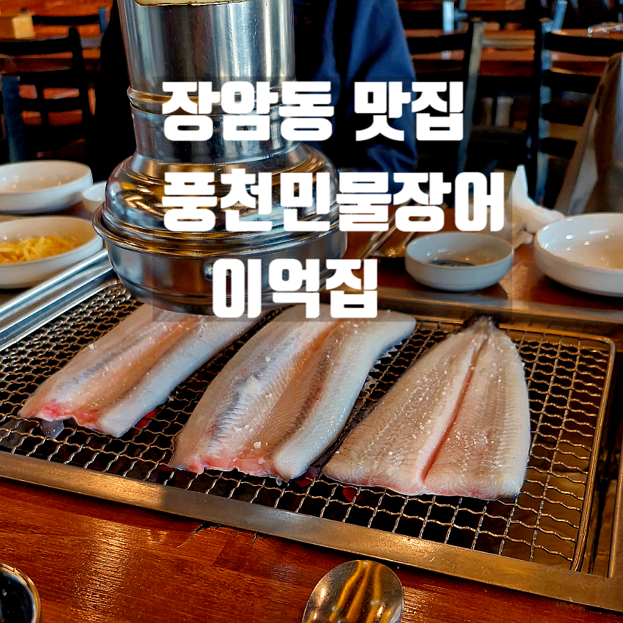 이억집 이미지