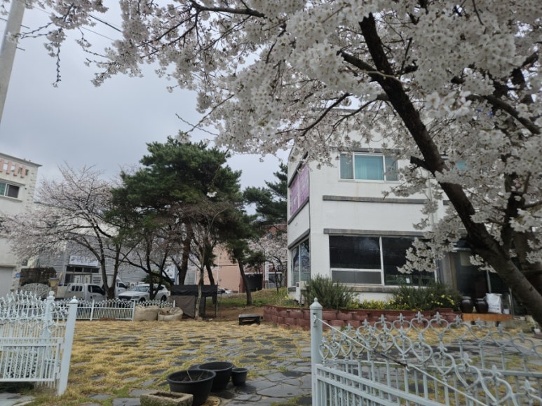 유달산주차장식당 이미지