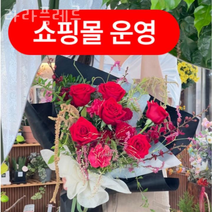 라라플레르 이미지