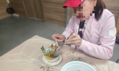 장암다육 이미지