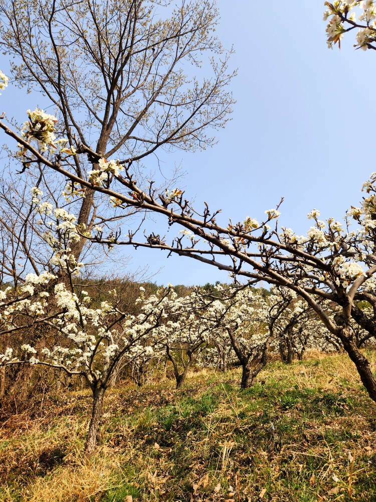 지리산해뜨네 이미지