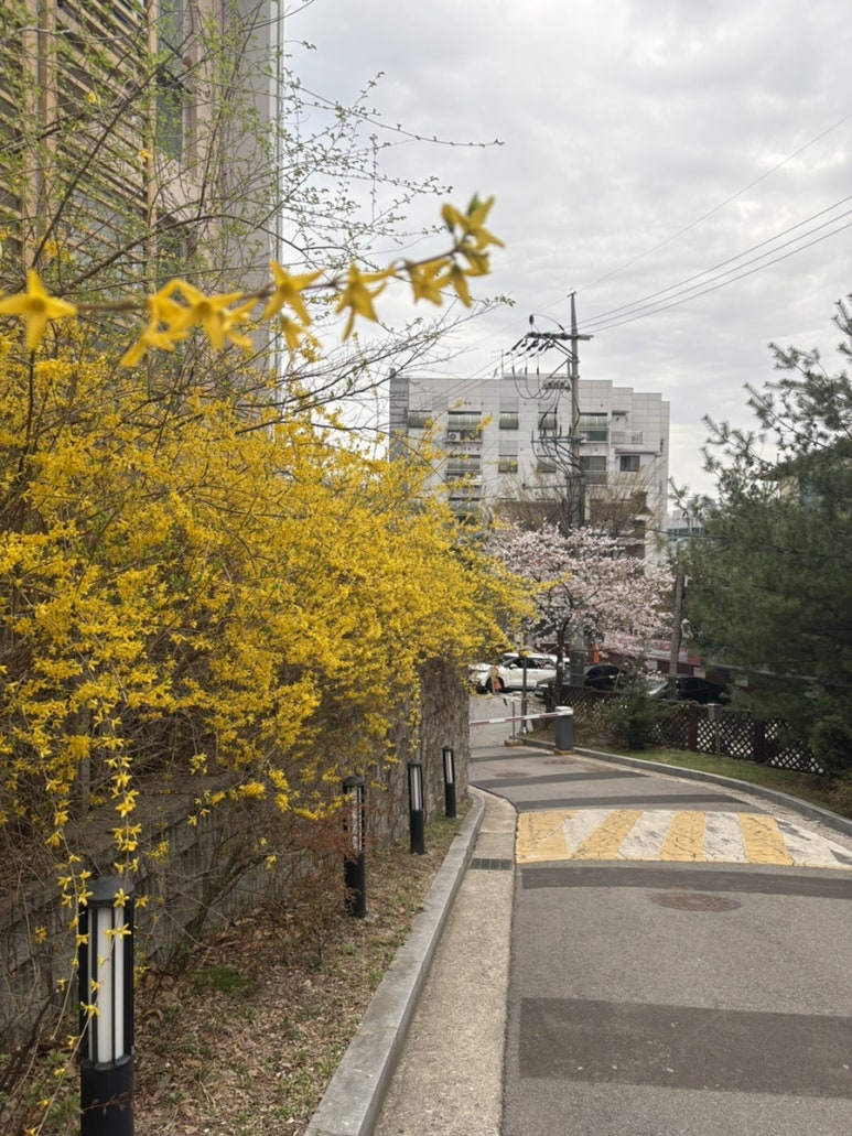 동국대학교 서울캠퍼스 상록원 사진 6