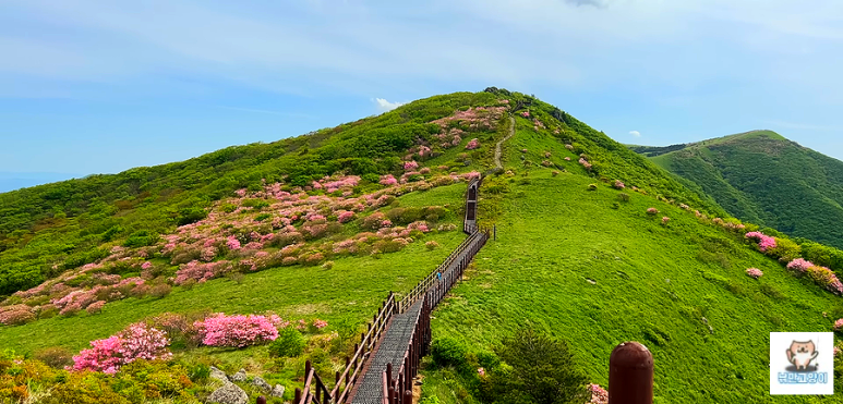 소백산국립공원 희방사코스