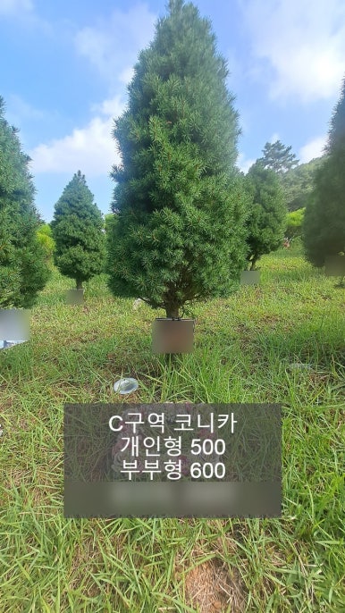 청솔안전관리 이미지