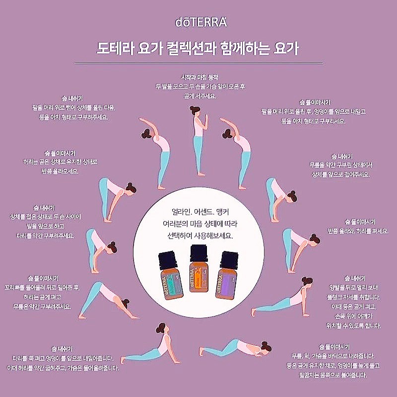 도테라코리아(유) 이미지