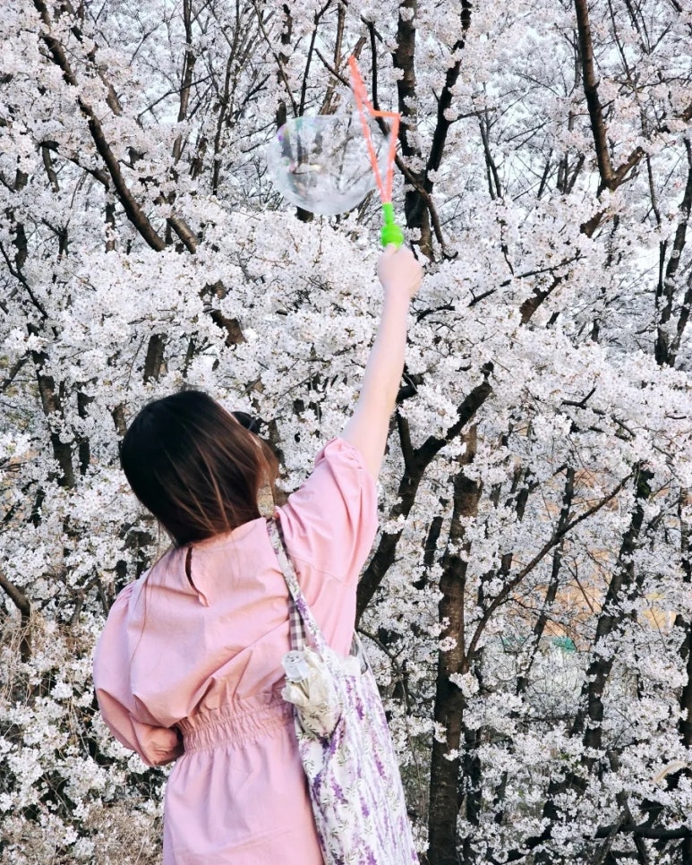 그날의꽃 이미지