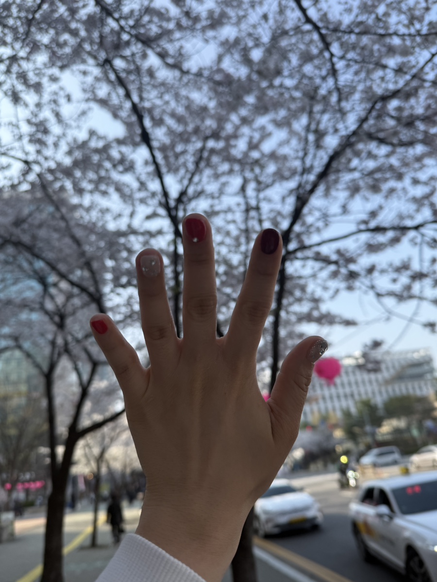 리스네일N속눈썹 오로지푸스 산본역점 이미지