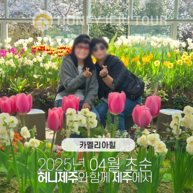 제주다정여행사 이미지