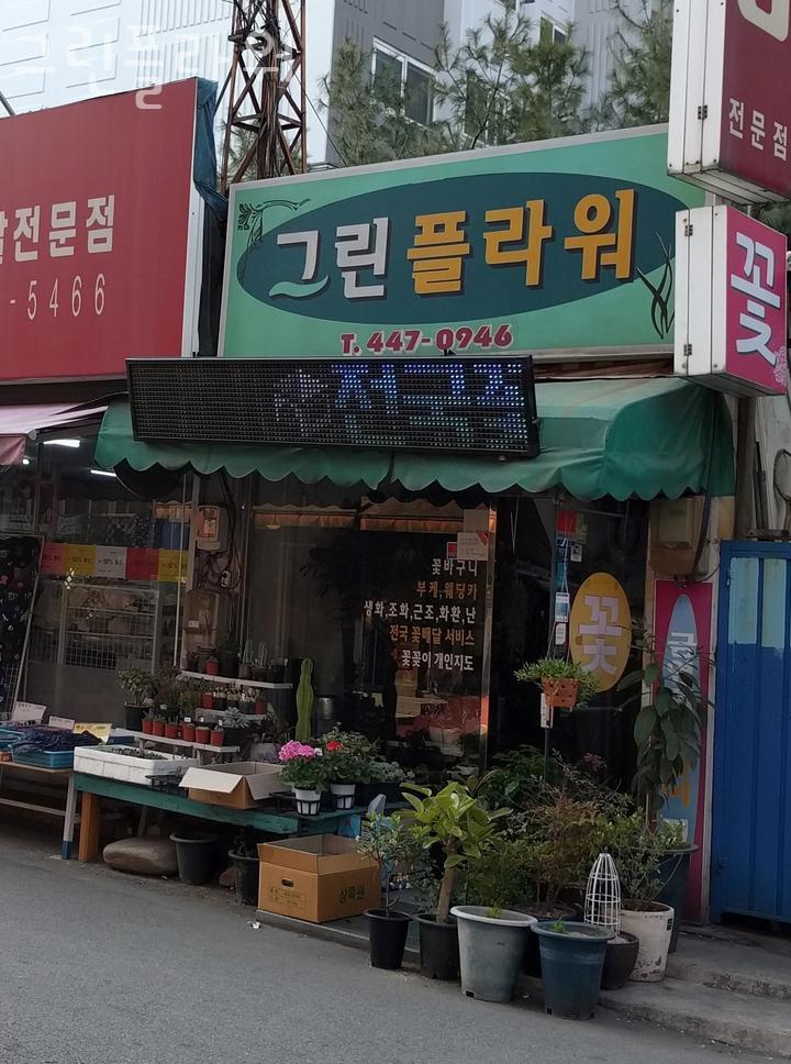 그린플라워 이미지