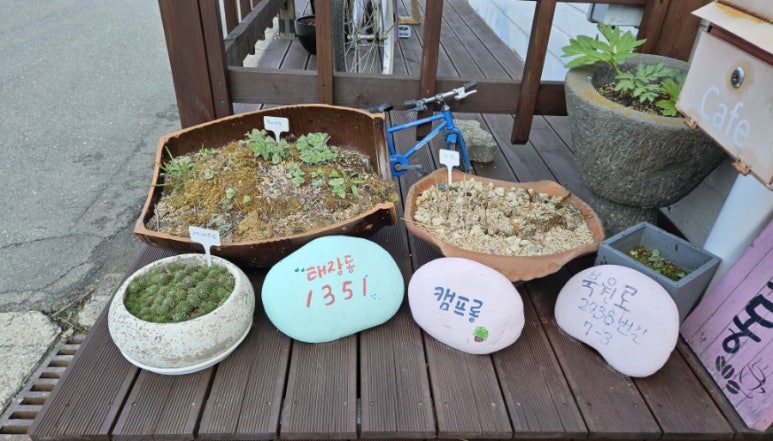 캠프롱카페 이미지