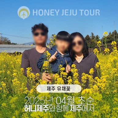 제주다정여행사 이미지