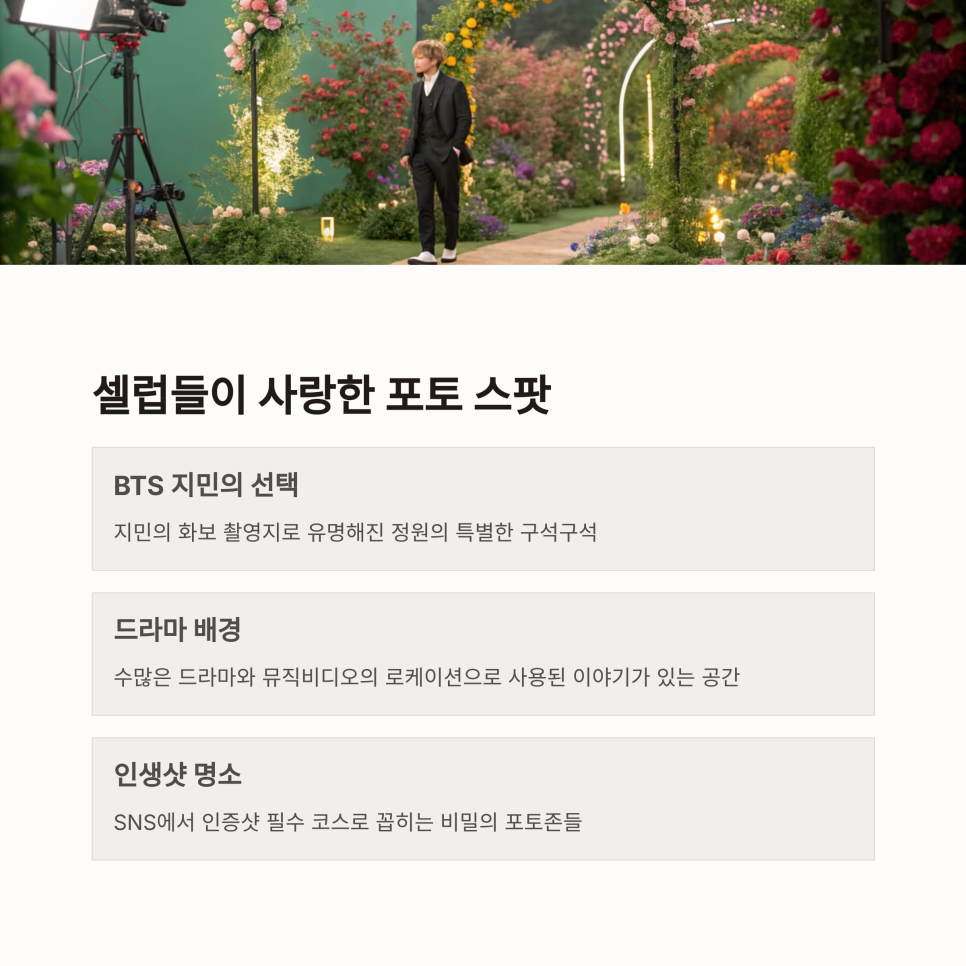 내비퍼스트 이미지