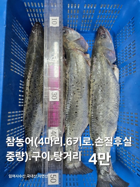 임여사수산 이미지