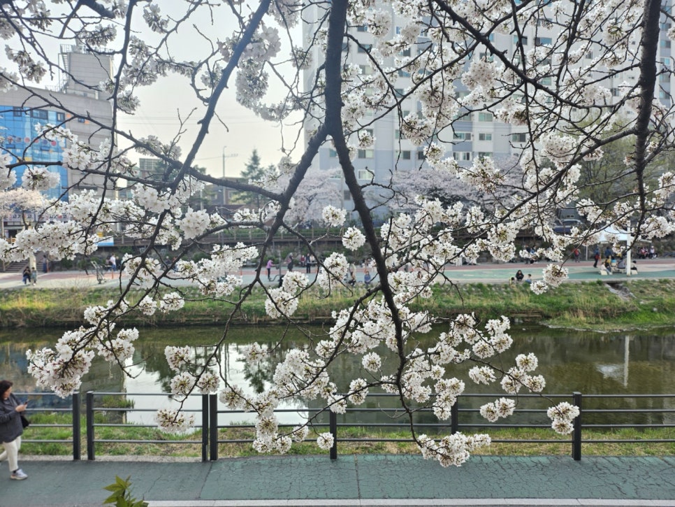 낙과유수 이미지