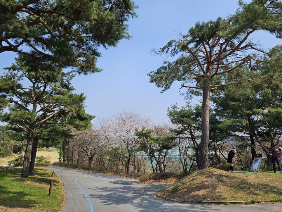 코스메틱퍼블릭 이미지