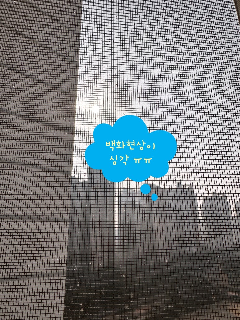 봄이네홈케어 이미지
