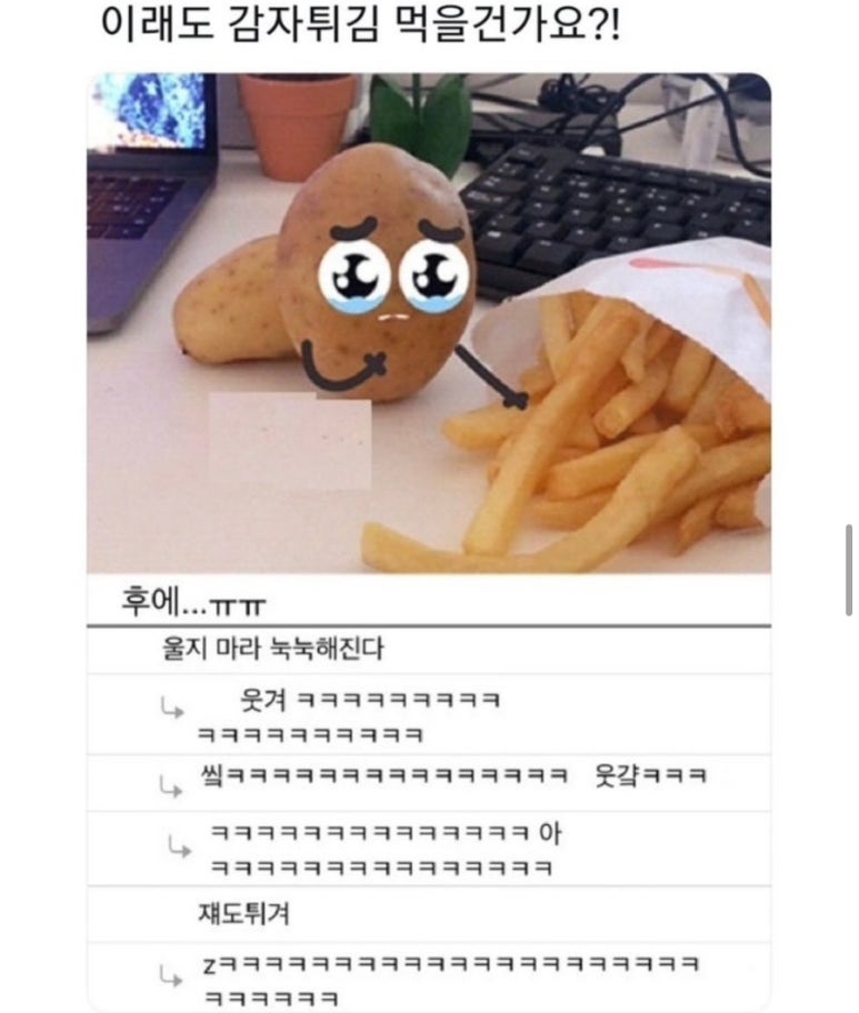 봄이화 이미지